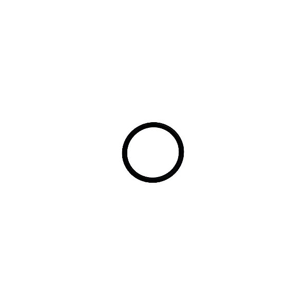 Anel O'ring – ECOMAX 503 (Hobart)