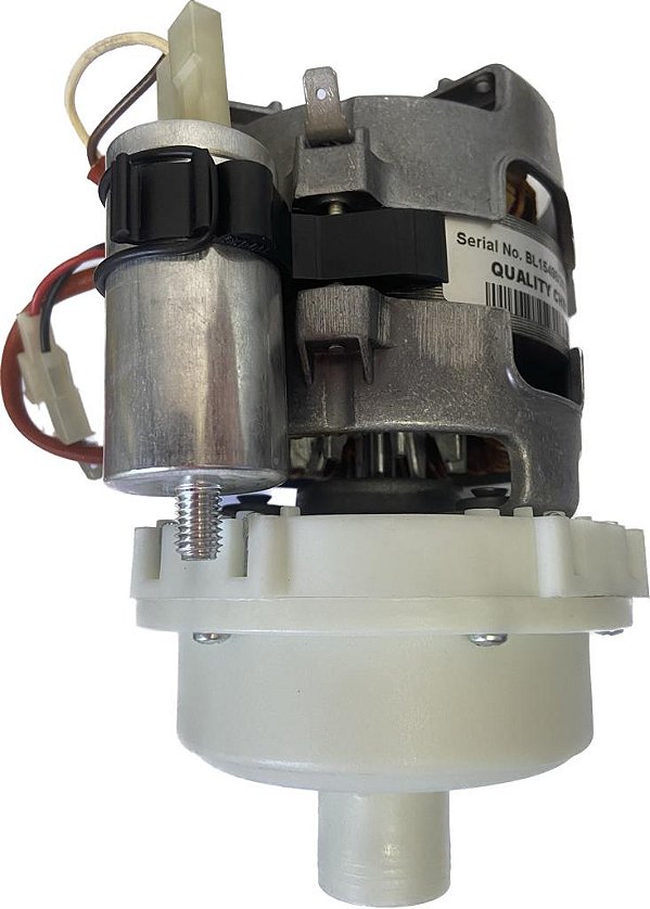 Moto Bomba de Enxague - ECOMAX 603 (Hobart)