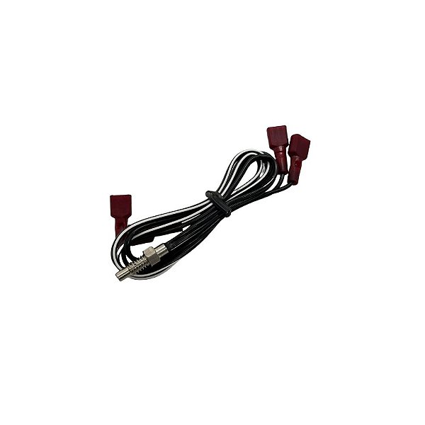 Sensor de Temperatura - ECOMAX 900 / AMB / FE30E / FX40 (Hobart)