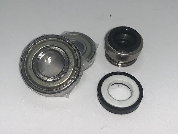 Kit de Reparo Bomba de Lavagem FE30E / FX40 (selo e rolamentos) (Hobart)