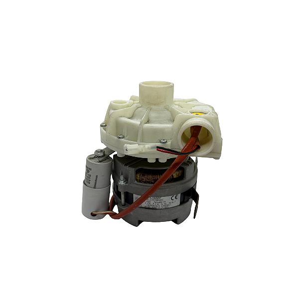 Moto Bomba de Lavagem 230V/60HZ - ECOMAX 502 (Hobart)