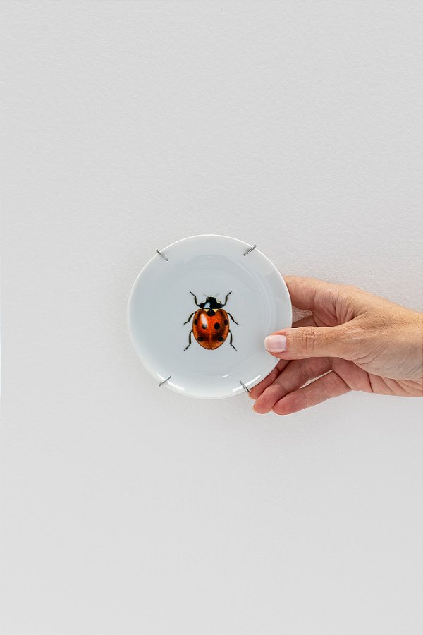 prato decorativo joaninha