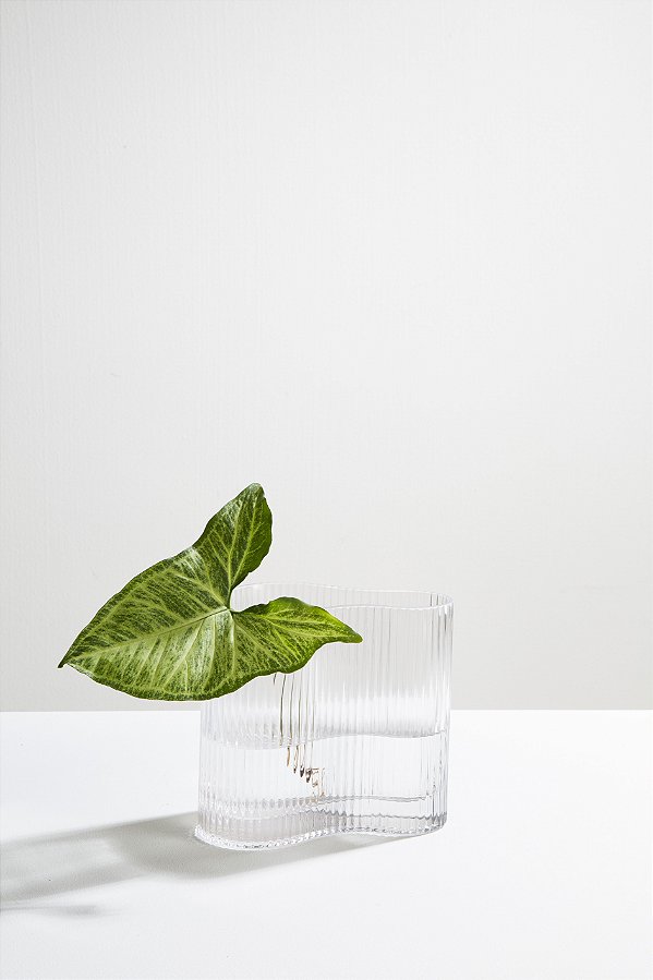 vaso de vidro meyer transparente P