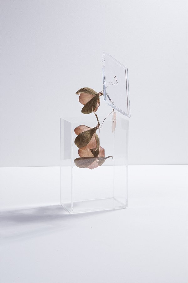 caixa acrílica rosa tefé