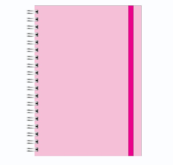 Planner Financeiro: Rosa Pastel