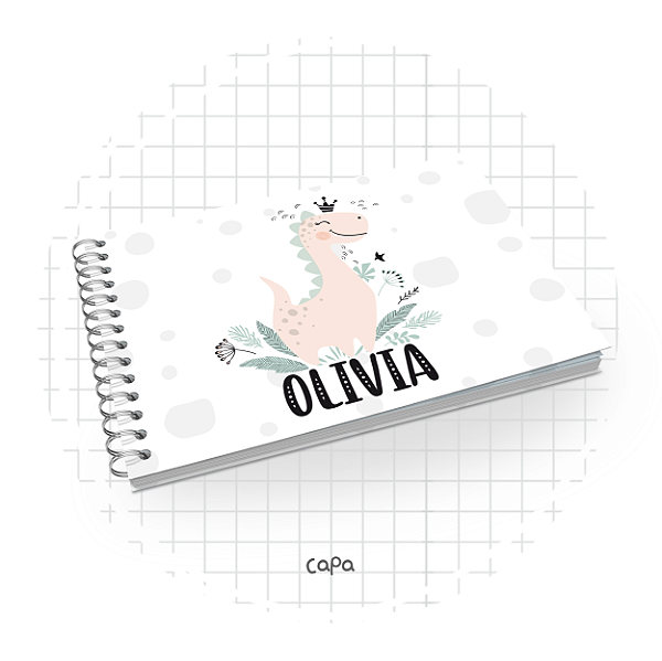 Livro do Bebê : Dino Menina