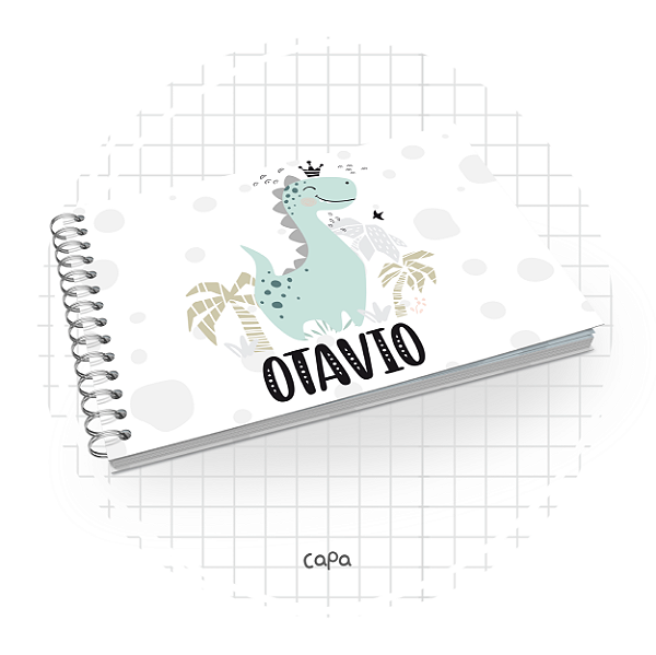 Livro do Bebê : Dino Menino