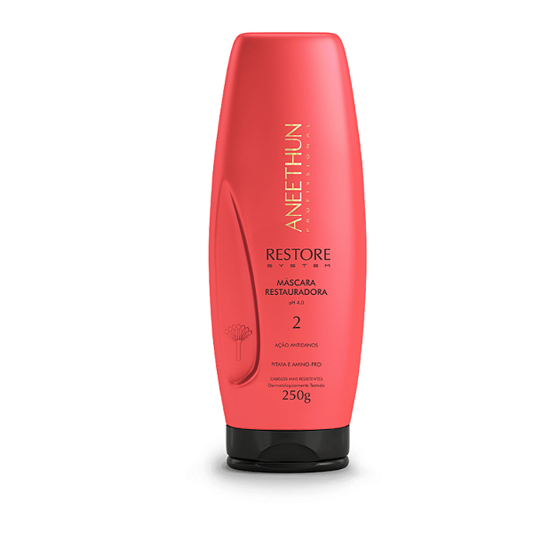 Aneethun Máscara Restore System 250g