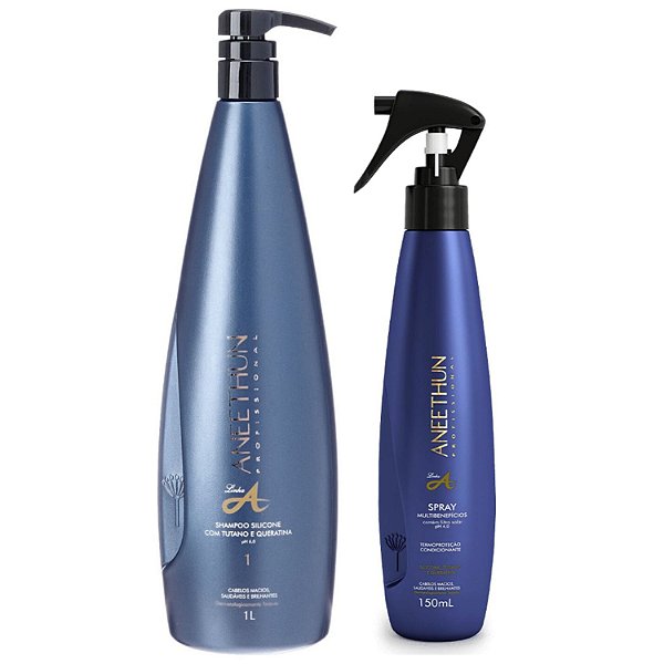 Aneethun Kit Shampoo 1 litro e Finalizador Linha A