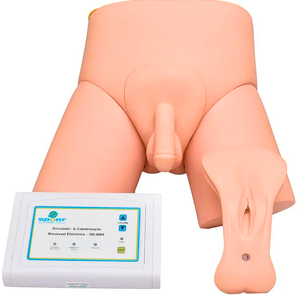 SIMULADOR DE CATETERIZAÇÃO VESICAL BISSEXUAL - SD4004 -SDORF