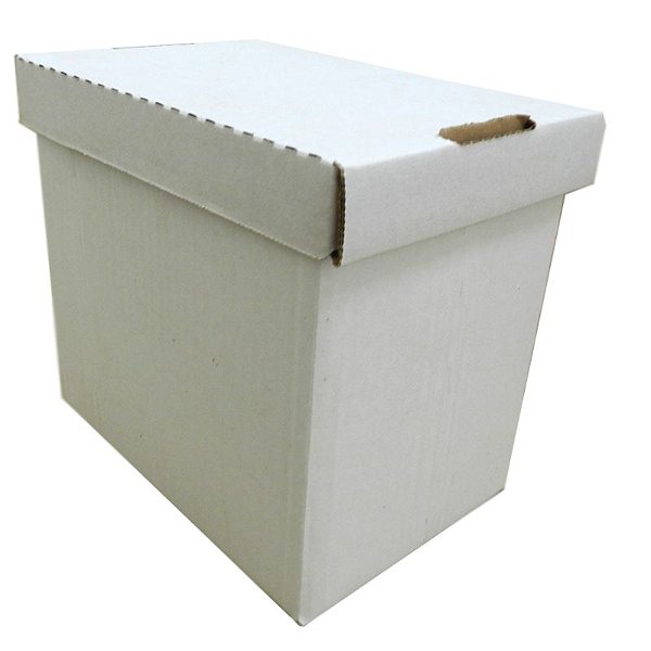 15 CAIXAS BRANCA PARA SORVETES 5 LITROS PLASTIFICADA