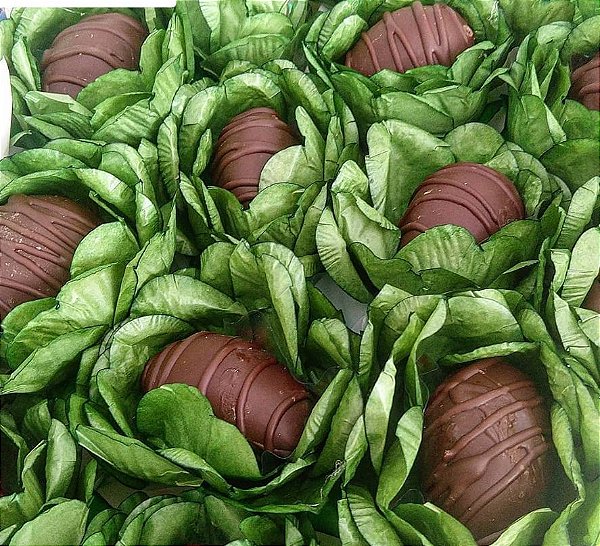Forminha para Doces Finos - Bela Pistache Clarríssima 40 unidades - Decora Doces
