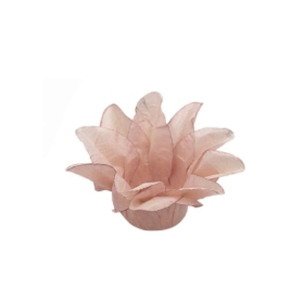 Forminha Para Doces Finos - Estrela do Mar Nude Claro Matte - 20 unidades - Decora Doces - Rizzo