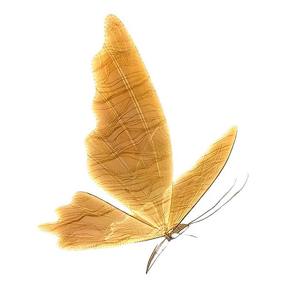 Borboleta de LED para Decoração com Suporte - 100cm - 1 unidade - Rizzo