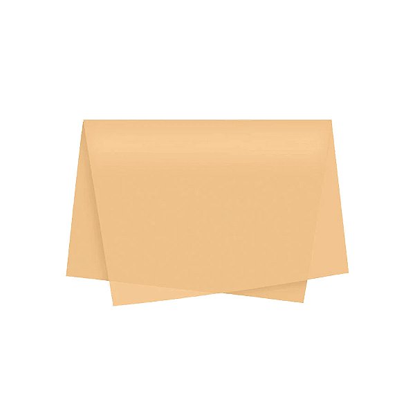 Papel de Seda - 50x70 - Creme - 10 unidades - Rizzo