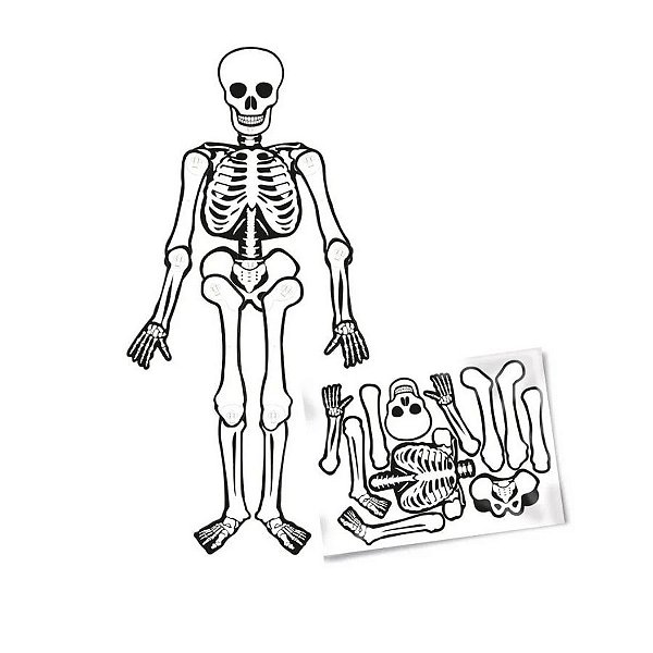 Enfeite Decorativo De Halloween - Esqueleto Articulado - 1,20m - 1 unidade - Cromus - Rizzo