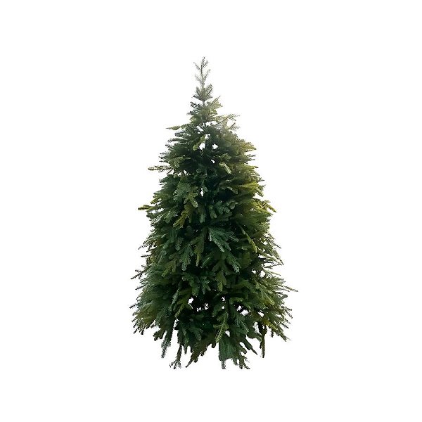 Árvore de Natal Modelo Alecrim - 2960 Galhos - 2,70m - Ref. RZO396 - 1 unidade - Rizzo