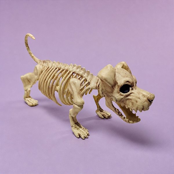 Enfeite Decorativo Halloween - Esqueleto Cachoro - 16x12x32cm - 1 unidade - Cromus - Rizzo
