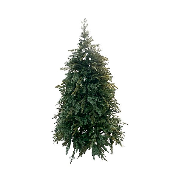 Árvore de Natal Modelo Alecrim - 1224 Galhos - 1,80m - Ref. RZO393 - 1 unidade - Rizzo