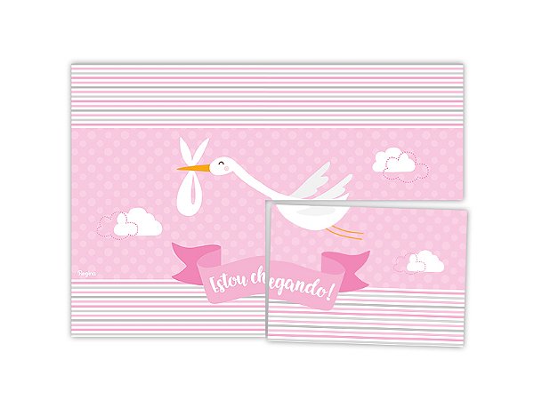 Painel Decorativo 126X88 Cm Festa Festa Cha de Bebe Menina 01 Unidade - Regina - Rizzo Festas