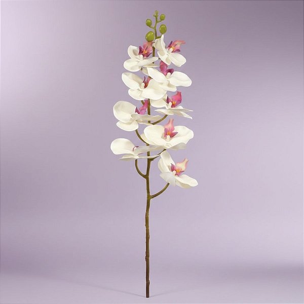 Haste Flor Permanente - Orquídea Phalaenopsis - Creme - 95cm - 1 unidade - Cromus - Rizzo