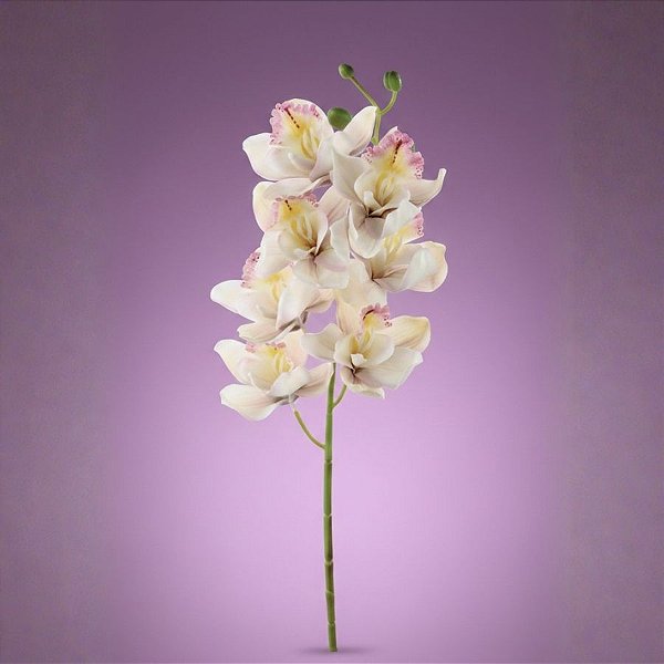 Haste Flor Permanente - Orquídea Cymbidium - 72cm  - 1 unidade - Cromus - Rizzo