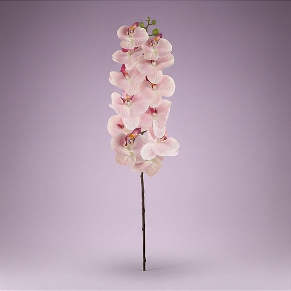 Haste Flor Permanente - Orquídea Phalaenopsis - Rosa Claro - 75cm  - 1 unidade - Cromus - Rizzo