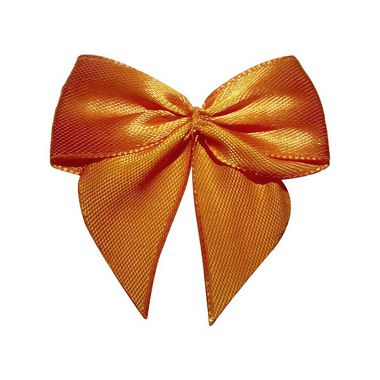 Lacinho Laranja Tipo Gravatão - Pct c/ 10 peças - Laços Marcela - Rizzo