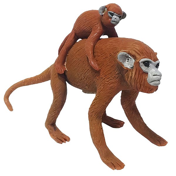 Macaco com Filhote de Balata - Jaime - RR