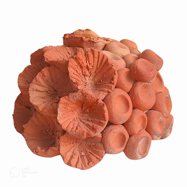 Coral - Lenny's - PE