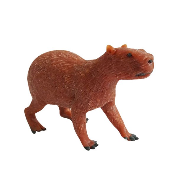 Capivara de Balata - Etnia Macuxi - RR