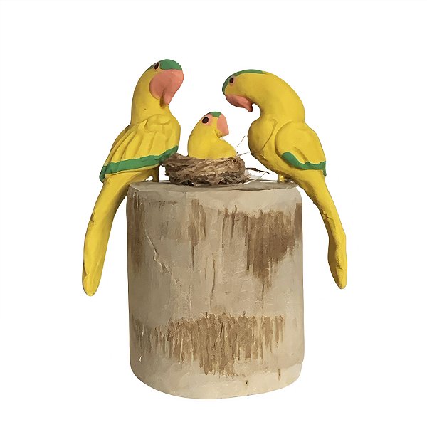 Casal de Arara Amarelinha com Filhote - Olinda - MS