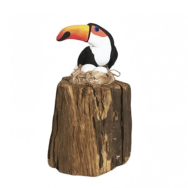 Tucano com Ovos - Olinda - MS