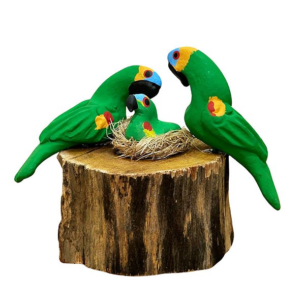 Casal de Arara Verde com Filhote - Olinda - MS