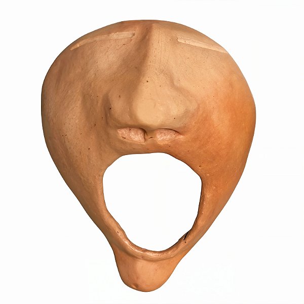 Bocejo P - Ivanildo - PE