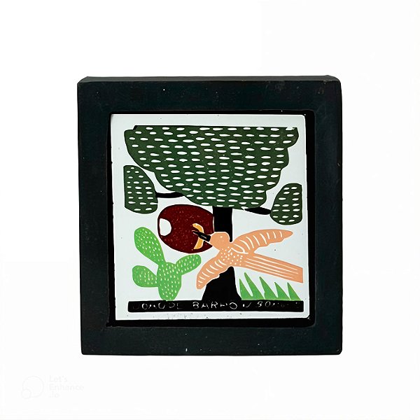 Quadro Colorido Mini - J. Borges - PE