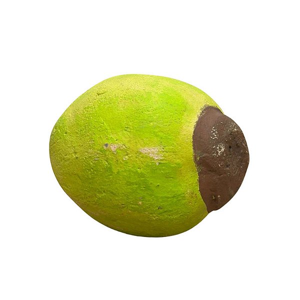 Coco - Edna - BA