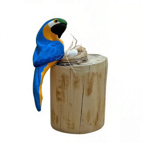 Arara Canindé com Ovos - Olinda - MS