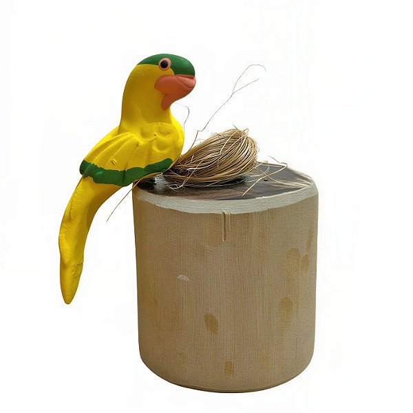 Arara Amarelinha com Ovos - Olinda - MS