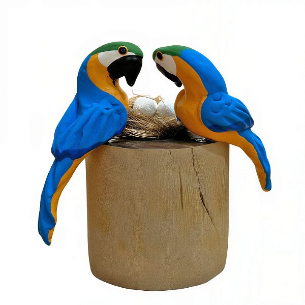 Casal de Arara Canindé com Ovos - Olinda - MS