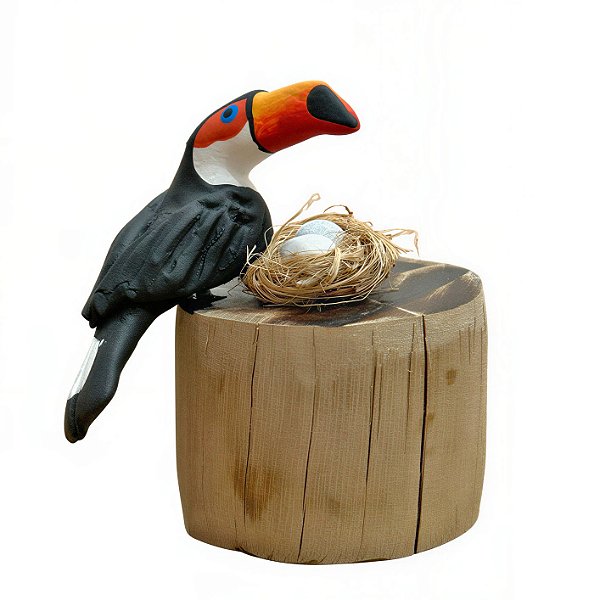 Tucano com Ovos - Olinda - MS
