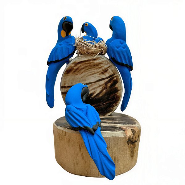Trio de Arara Azul - Olinda - MS