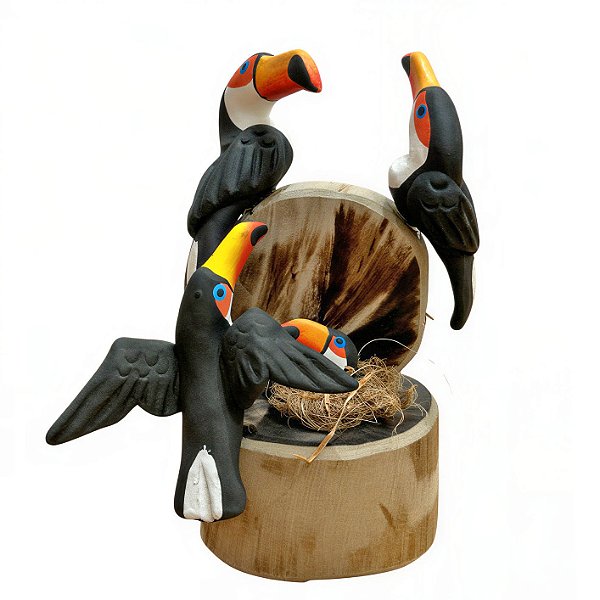 Trio de Tucano - Olinda - MS