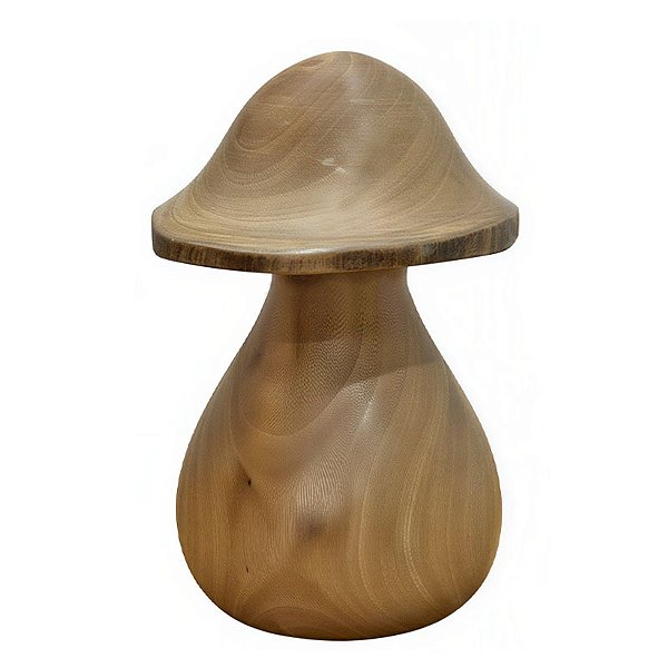 Cogumelo M - Bitim - CE
