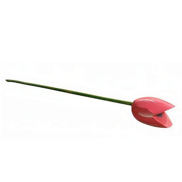 Tulipa Rosa - Nery - SP