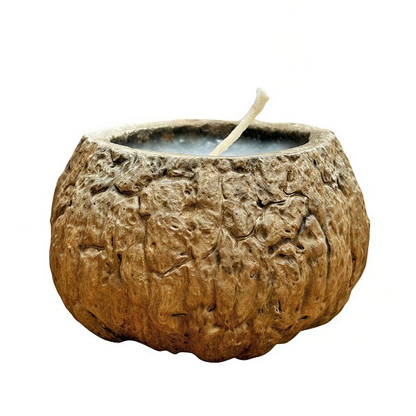Vela no Ouriço da Castanha de Canela - Carlos - AC