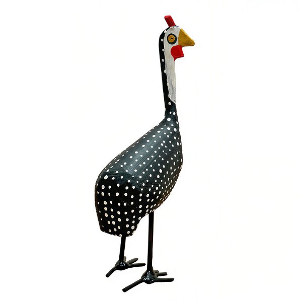 Galinha D'Angola PP - Jair - MG