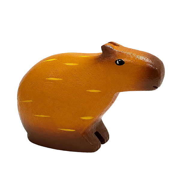 Capivara - Nery - SP
