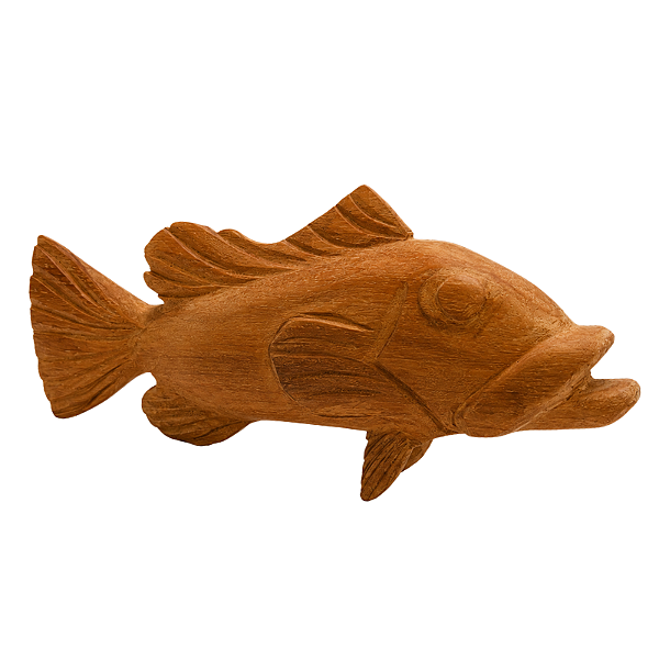 Garoupa 23cm - Pedro Peixoto - BA