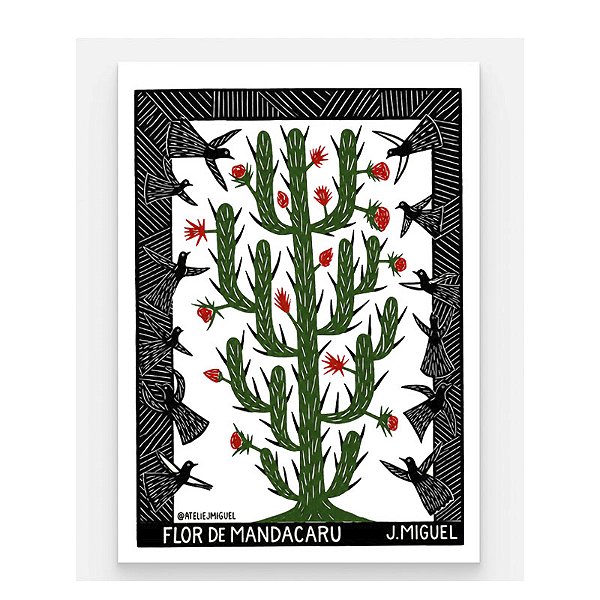 Imã Xilo Flor de Mandacaru - J. Miguel - PE